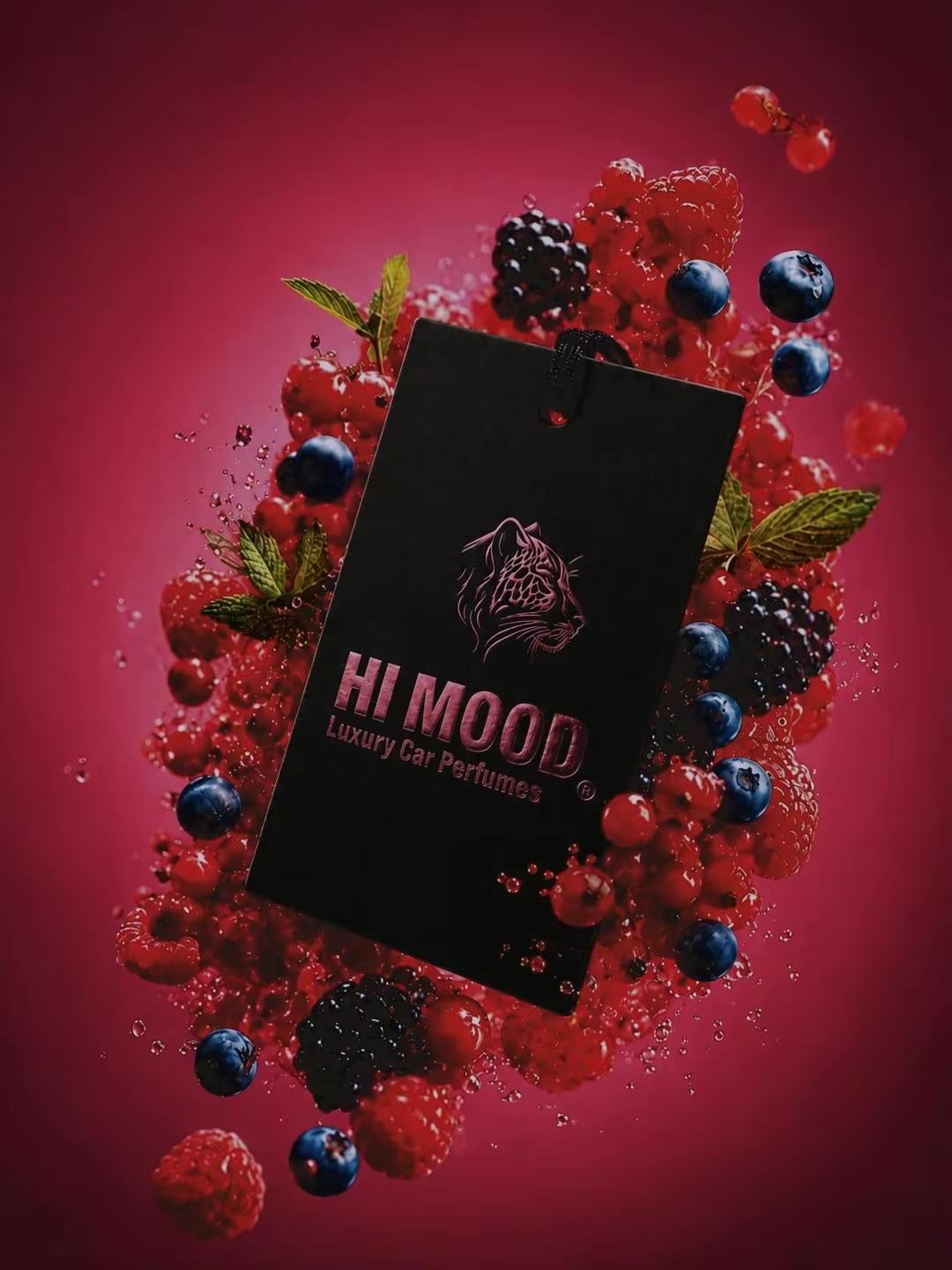 HIMOOD luxury driving atmosphere